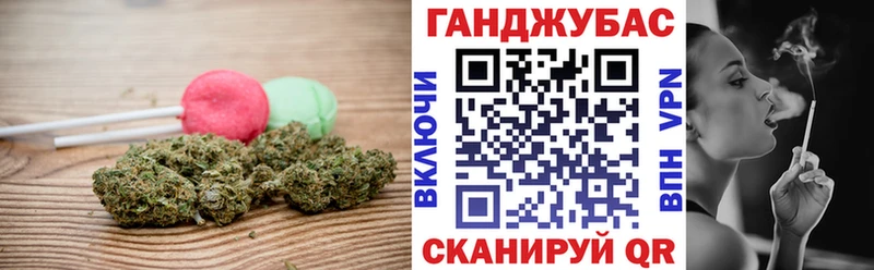 mega зеркало  купить наркотики сайты  Чудово  Cannafood конопля 